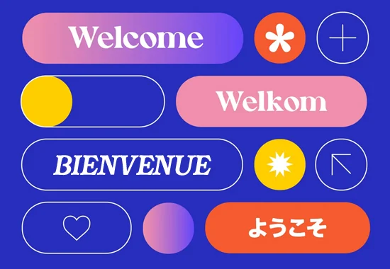 Multilingual seo options